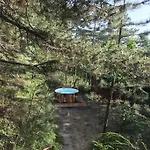 Toboz - Jakuzzi&sauna Budaörs